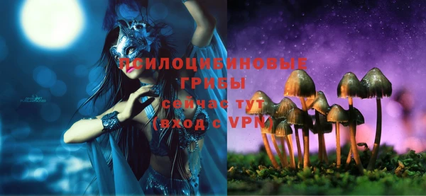 прущие крисы Каменск-Шахтинский