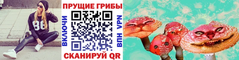 Купить закладки  Талица  Псилоцибиновые грибы Psilocybine cubensis 